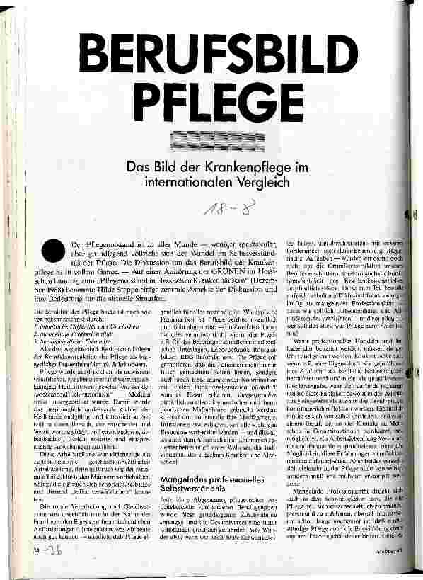 [doc_20898] Berufsbild Pflege Das Bild der Krankenpflege im internationalen Vergleich